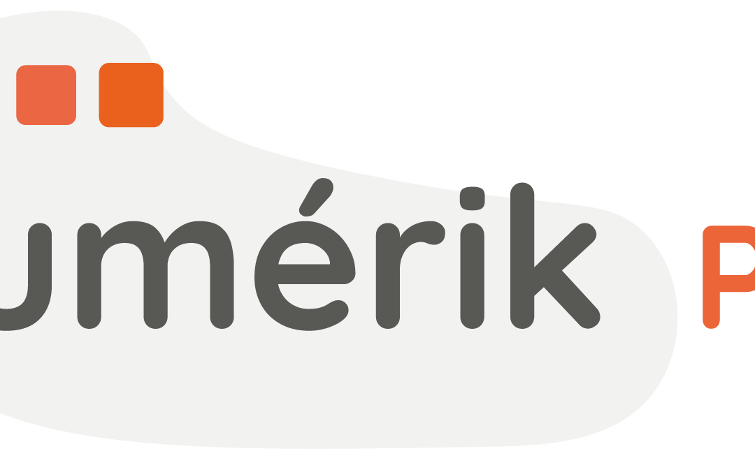 Numérik Pro